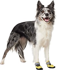 Frisco Wrapped Dog Boot, Yellow, Medium, 2 count