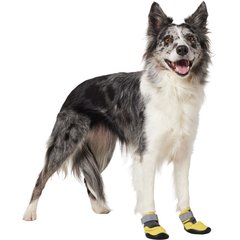Frisco Wrapped Dog Boot, Yellow, Medium, 2 count