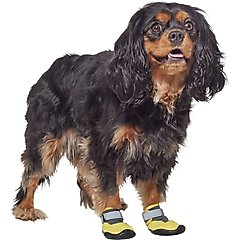 Frisco Wrapped Dog Boot, Yellow, Small, 2 count