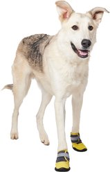 Frisco Wrapped Dog Boot, Yellow, XX-Large, 2 count