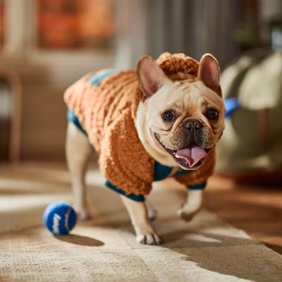 Show full view: Frisco Wubby Textured Fleece Dog & Cat Hoodie w/ Pocket, Medium slide 8 of 10