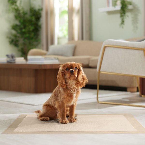 Show full view: Frisco X-Large Eco-Conscious Dog Training & Potty Pads, 28 x 34-in, Unscented, 40 count slide 7 of 10