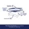 Show in main carousel: Frisco X-Large Premium Dog Training & Potty Pads, 28 x 34-in, Scented, 40 count slide 7 of 11