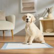 Show in main carousel: Frisco X-Large Premium Dog Training & Potty Pads, 28 x 34-in, Unscented, 40 count, Geometric Print slide 7 of 10