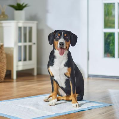 Show full view: Frisco X-Large Premium Dog Training & Potty Pads, 28 x 34-in, Unscented, 40 count, Mermaid Print slide 7 of 10