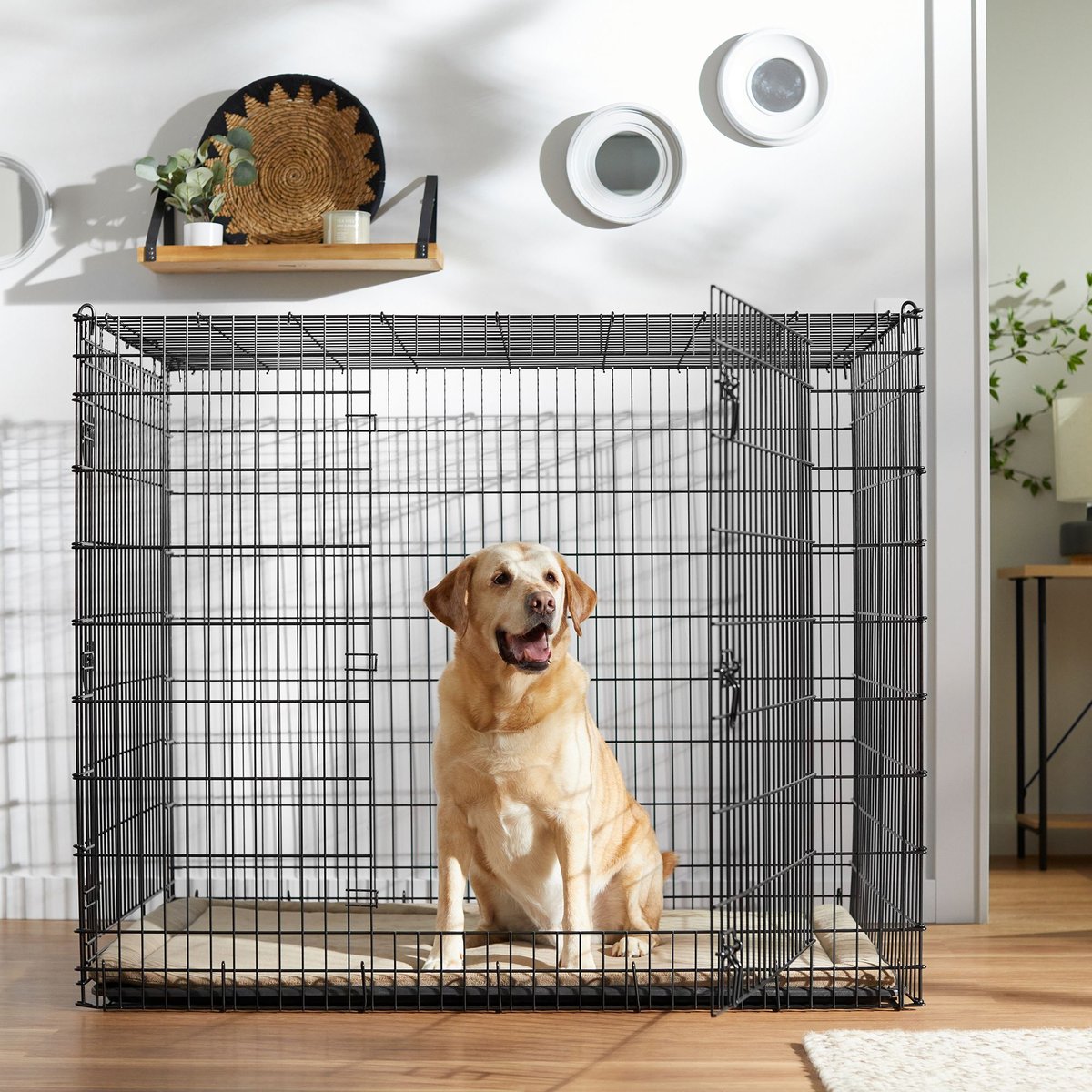 Frisco XX-Large Heavy Duty Double Door Wire Dog Crate, XX-Large