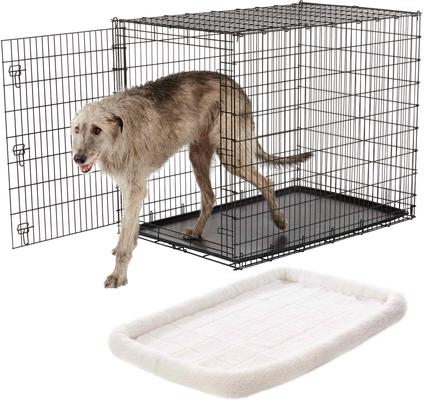 Show full view: Frisco XX-Large Heavy Duty Single Door Wire Dog Crate, 54 inch & Frisco Quilted Dog Crate Mat, Ivory, 54-in slide 1 of 6