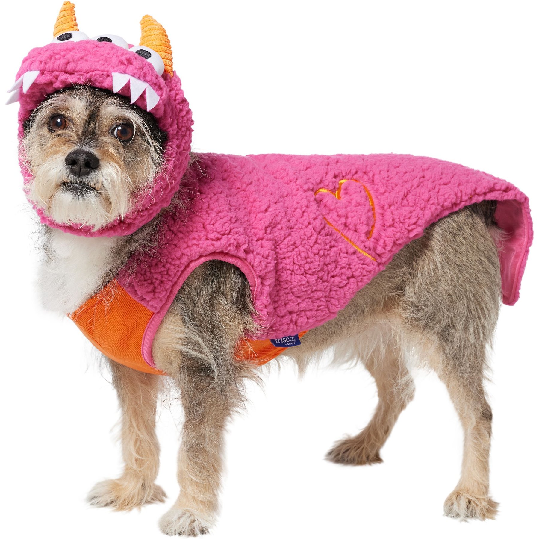 Frisco Zany Monster Dog & Cat Costume, Medium