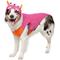 Show in main carousel: Frisco Zany Monster Dog & Cat Costume, X-Large slide 1 of 8