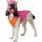 Show in main carousel: Frisco Zany Monster Dog & Cat Costume, XX-Large slide 1 of 8