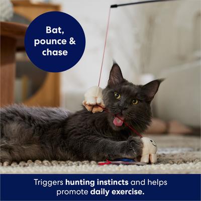 Show full view: Frisco Zoomies & Chill Popcorn Teaser Wand Cat Toy with Catnip slide 4 of 6