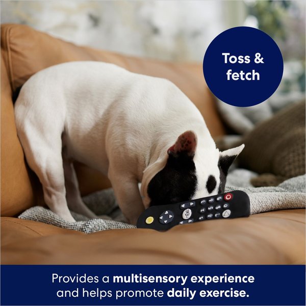Frisco TV Remote Latex Squeaky Dog Toy