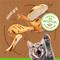 Show in main carousel: Friskies Classic Pate Mixed Grill Canned Cat Food, 5.5-oz can, bundle of 72  slide 5 of 10