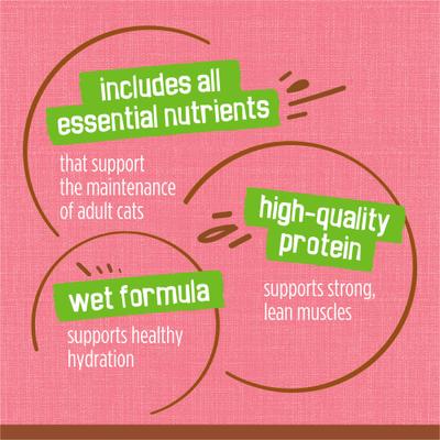 Show full view: Friskies Extra Gravy Pate with Salmon in Savory Gravy Canned Cat Food, 5.5-oz, case of 24 slide 8 of 10