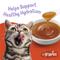 Show in main carousel: Friskies Lil' Gravies Roasted Turkey Flavor Cat Food Complement, 1.55-oz pouch, case of 16 slide 4 of 9