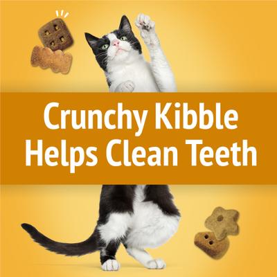 Show full view: Friskies Party Mix Cheezy Craze Crunch Flavor Crunchy Cat Treats, 2.1-oz bag slide 5 of 12