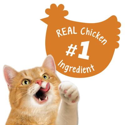 Show full view: Friskies Party Mix Chicken Lovers Crunch Flavor Crunchy Cat Treats, 20-oz pouch slide 5 of 13