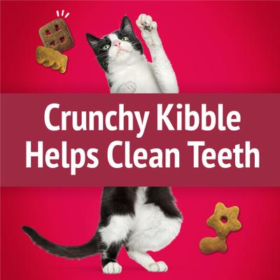 Show full view: Friskies Party Mix Mixed Grill Crunch Flavor Crunchy Cat Treats, 6-oz bag slide 5 of 12