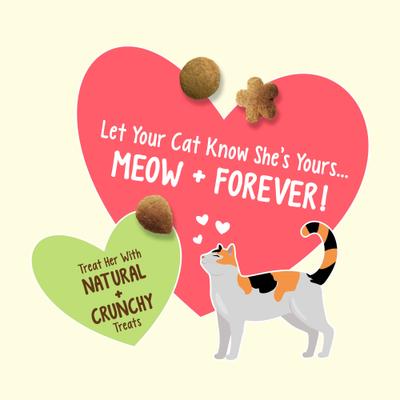 Show full view: Friskies Party Mix Natural Yums Catnip Flavor Cat Treats, 20-oz tub slide 4 of 11