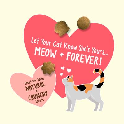 Show full view: Friskies Party Mix Natural Yums Complete & Balanced Salmon Crunchy Natural Cat Treats, 20-oz tub slide 4 of 11