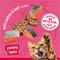 Show in main carousel: Friskies Prime Filets with Salmon & Beef in Sauce Canned Cat Food, 5.5-oz, case of 24 slide 4 of 10