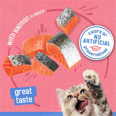 Show full view: Friskies Savory Shreds with Salmon in Sauce Canned Cat Food, 5.5-oz, case of 24 slide 4 of 10
