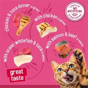 Friskies Surfin' & Turfin' Favorites Variety Pack Canned Cat Food, 5.5-oz, case of 40