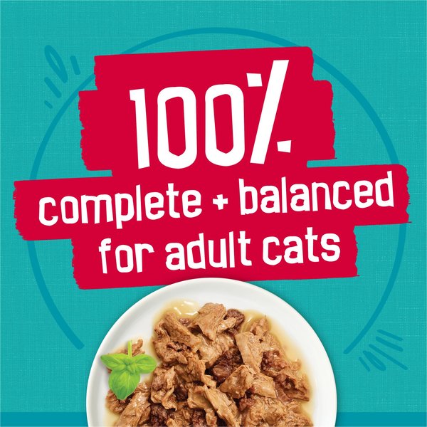 Friskies Tasty Treasures Gravy Prime Filets Variety Pack Wet Cat Food