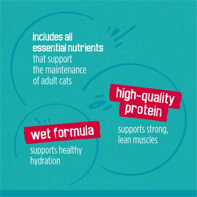 Show full view: Friskies Tasty Treasures Adult Prime Filets in Gravy Variety Pack Wet Cat Food, 5.5-oz can, case of 24 slide 7 of 12