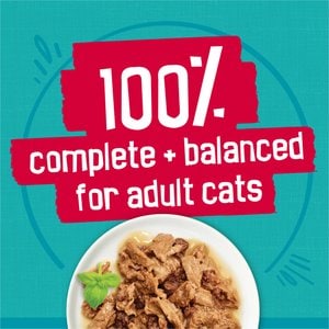 Friskies Tasty Treasures Adult Prime Filets in Gravy Variety Pack Wet Cat Food, 5.5-oz can, case of 24