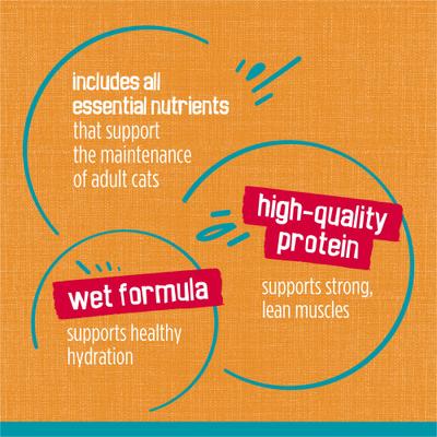 Show full view: Friskies Tasty Treasures Gravy Chicken & Liver Wet Cat Food, 5.5-oz can, case of 24 slide 7 of 9