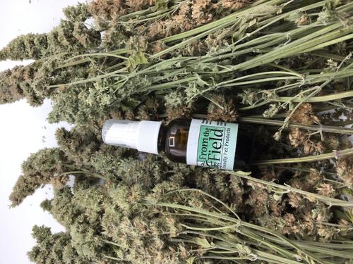 Show full view: From The Field Catnip Spray, 1-oz bottle slide 4 of 7