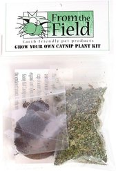 From The Field Grow Your Own Catnip Plant Kit