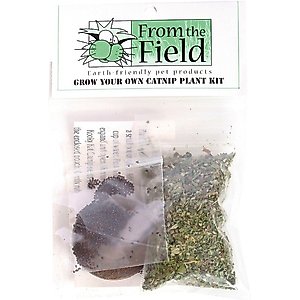 From The Field Grow Your Own Catnip Plant Kit