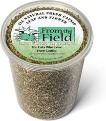 From The Field Leaf & Flower Catnip, 3.5-oz tub slide 1 of 3