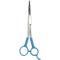Show in main carousel: Fromm International Diane Premier Curved Point-Tip Shear 111SC, 6.5-in slide 1 of 7