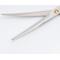 Show in main carousel: Fromm International Diane Premier Curved Point-Tip Shear 111SC, 6.5-in slide 4 of 7