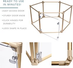 Front Row 6-Panel Transparent Panels & Aluminum Rods Foldable Dog & Cat Playpen, Gold/Clear slide 2 of 8