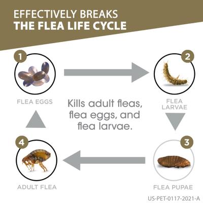 Show full view: Frontline Gold for Dogs Flea & Tick Treatment (Extra Large Dog, 89-132 lbs.) 6 Doses (Red Box) slide 3 of 11