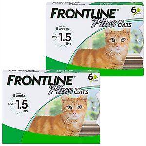 FRONTLINE PLUS Flea Tick Spot Treatment for Cats, over lbs