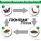 Show in main carousel: Frontline Plus Flea & Tick Spot Treatment for Cats, over 1.5 lbs, 12 Doses (12-mos. supply) slide 3 of 11