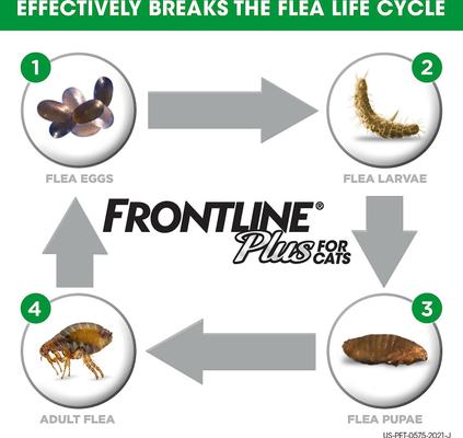 Show full view: Frontline Plus Flea & Tick Spot Treatment for Cats, over 1.5 lbs, 12 Doses (12-mos. supply) slide 3 of 11