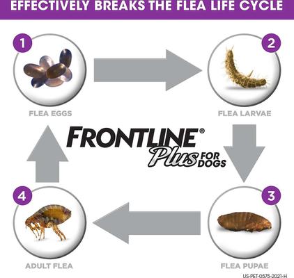Show full view: Frontline Plus Flea & Tick Spot Treatment for Cats, over 1.5 lbs, 6 Doses + Spot Treatment for Large Dogs, 45-88 lbs, 6 Doses slide 3 of 7