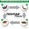 Show in main carousel: Frontline Plus Flea & Tick Spot Treatment for Cats, over 1.5 lbs, 6 Doses + Spot Treatment for Large Dogs, 45-88 lbs, 6 Doses slide 6 of 7
