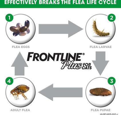Show full view: Frontline Plus Flea & Tick Spot Treatment for Cats, over 1.5 lbs, 6 Doses + Spot Treatment for Large Dogs, 45-88 lbs, 6 Doses slide 6 of 7