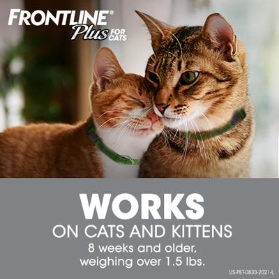 Show full view: Frontline Plus Flea & Tick Spot Treatment for Cats, over 1.5 lbs, 6 Doses + Spot Treatment for Small Dogs, 5-22 lbs, 6 Doses slide 5 of 9