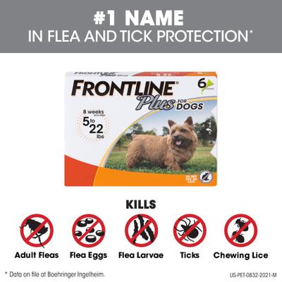 Show full view: Frontline Plus Flea & Tick Spot Treatment for Cats, over 1.5 lbs, 6 Doses + Spot Treatment for Small Dogs, 5-22 lbs, 6 Doses slide 7 of 9