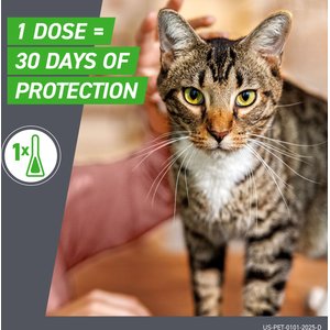 Frontline Plus Flea & Tick Spot Treatment for Cats, over 1.5 lbs, 6 Doses (6-mos. supply)