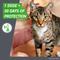 Show in main carousel: Frontline Plus Flea & Tick Spot Treatment for Cats, over 1.5 lbs, 6 Doses (6-mos. supply) slide 5 of 11