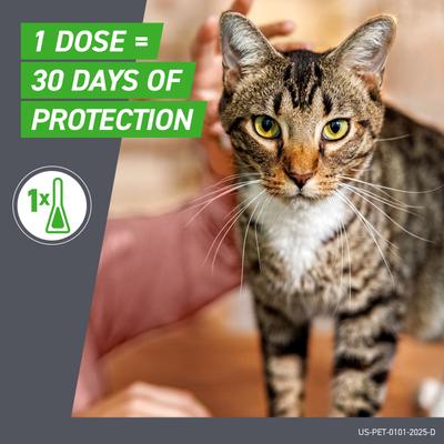 Show full view: Frontline Plus Flea & Tick Spot Treatment for Cats, over 1.5 lbs, 6 Doses (6-mos. supply) slide 5 of 11